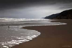 Cape Perpetua beach-1711-2.jpg